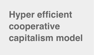 <h2>Hyper efficient cooperative capitalism model</h2>